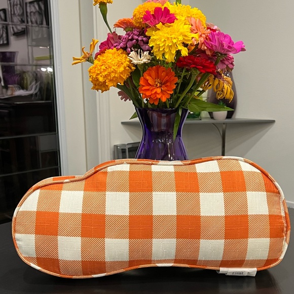 PRICE DROP - NWT FALL HARVEST DECORATIVE PILLOW - Picture 10 of 14